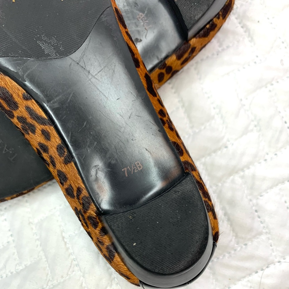 Talbots leopard print calf hair pointy toe flats, 7.5 - Picture 8 of 8